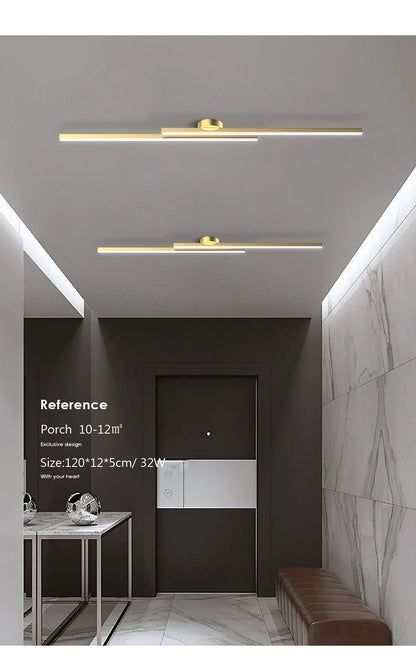 Smart LED Ceiling Light Remote Control 60/80CM Lights Bedroom Living Room Hallway Kitchen Balcony Home Lamp Led Lighting Lustre