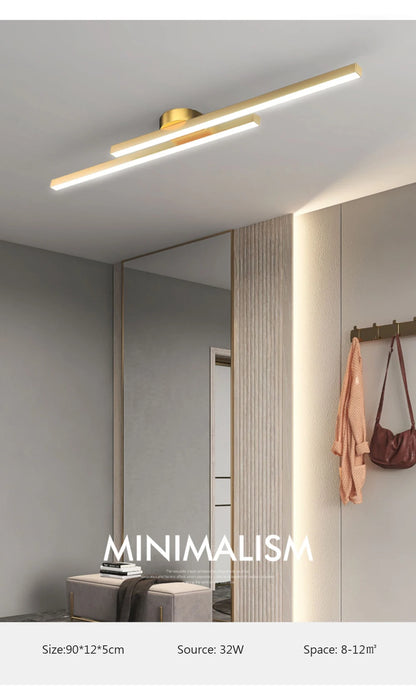Smart LED Ceiling Light Remote Control 60/80CM Lights Bedroom Living Room Hallway Kitchen Balcony Home Lamp Led Lighting Lustre