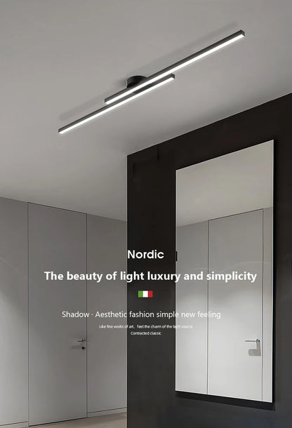 Smart LED Ceiling Light Remote Control 60/80CM Lights Bedroom Living Room Hallway Kitchen Balcony Home Lamp Led Lighting Lustre