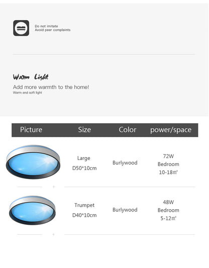 Modern LED Blue Sky Ceiling Lamp Smart Brightness Dimmable Round Ceiling light for Living Room Bedroom Kitchen Moon Lighting